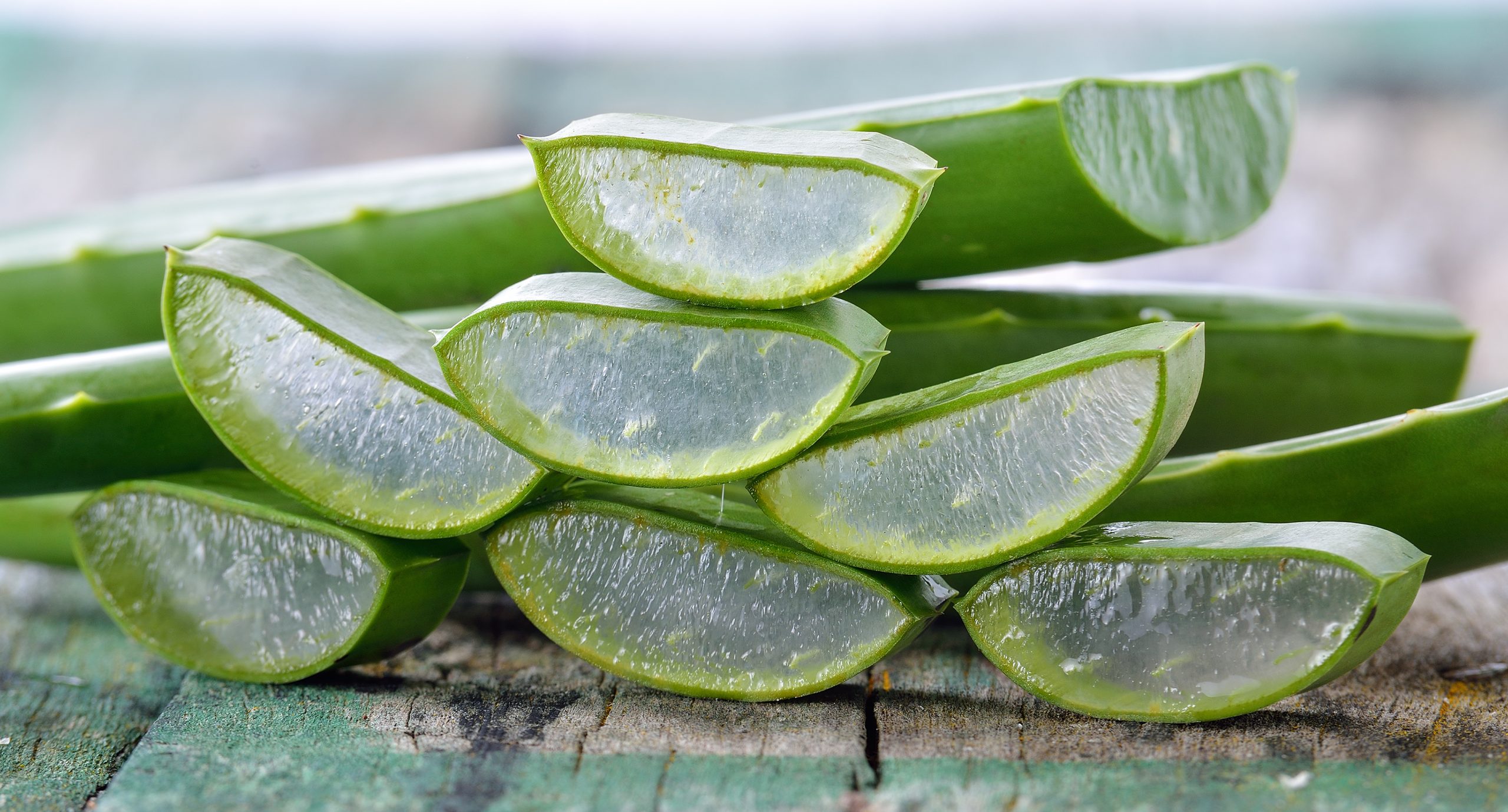 Aloe Vera Ever Shield: Das Geheimnis eines erfolgreichen Unabhängigen Distributors bei Forever Living Products